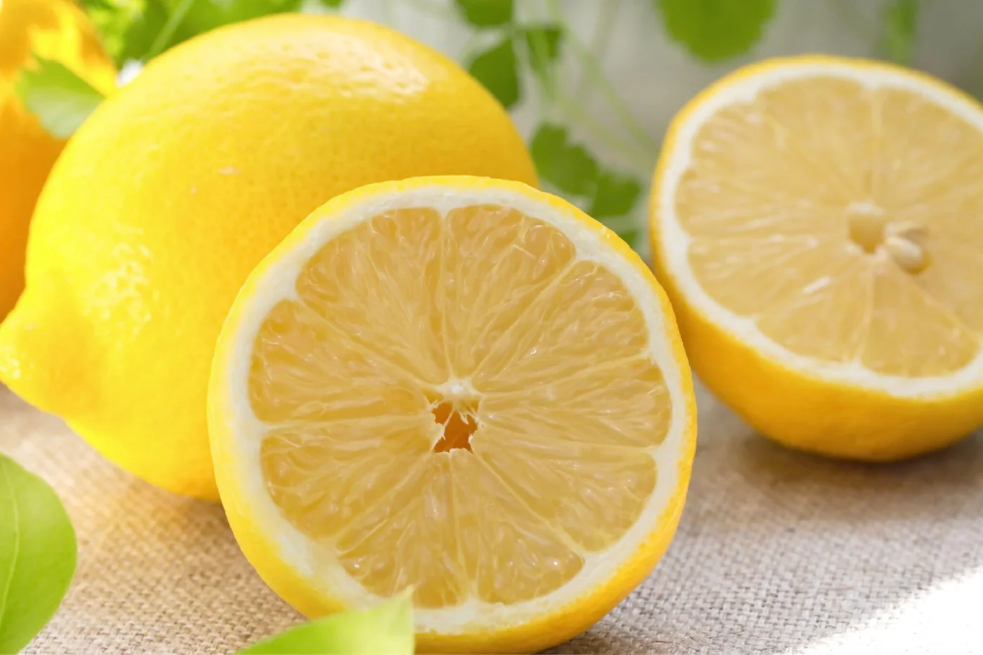 what-is-ascorbic-acid-how-is-it-beneficial-for-the-skin-foxtale